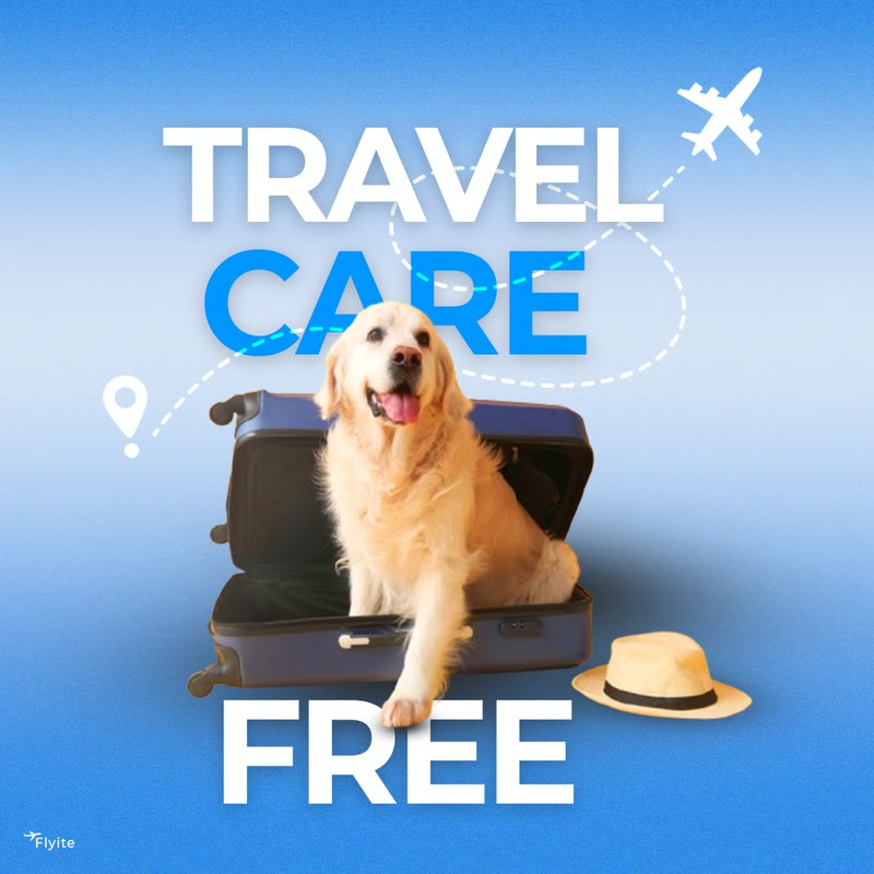 Travel Care Free ad with a golden retriever in a suitcase.
